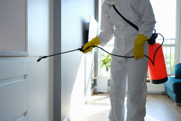 Best Crawl Space Mold Removal  in Bronson, FL